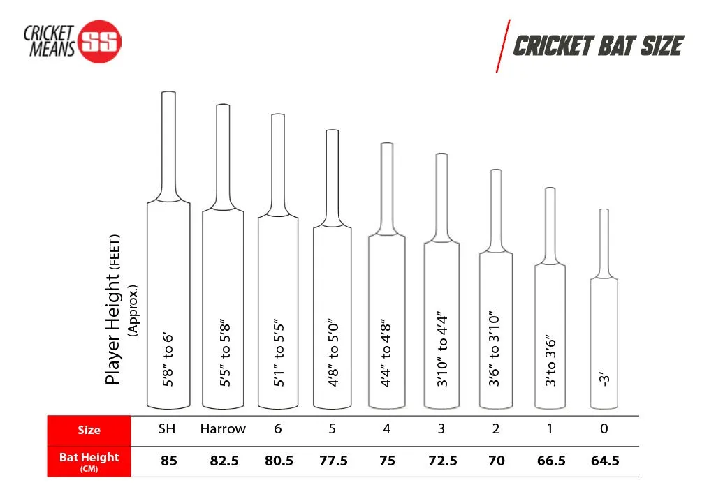 SS Ton Maximus Kashmir Willow Cricket Bat | KIBI SPORTS